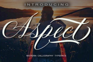 Aspect: The Bold Script That Elevates Your Campaigns