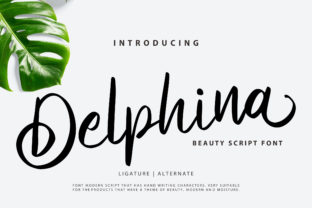 Delphina: The Font That Elevates Your Brand
