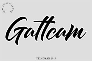 Enhance Your Brand with the Gattcam Font