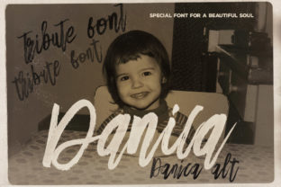 Font That Elevates Your Brand: Danica